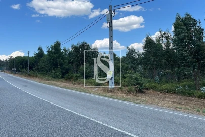 Terreno para Venda em Vilar de Besteiros e Mosteiro de Fráguas
