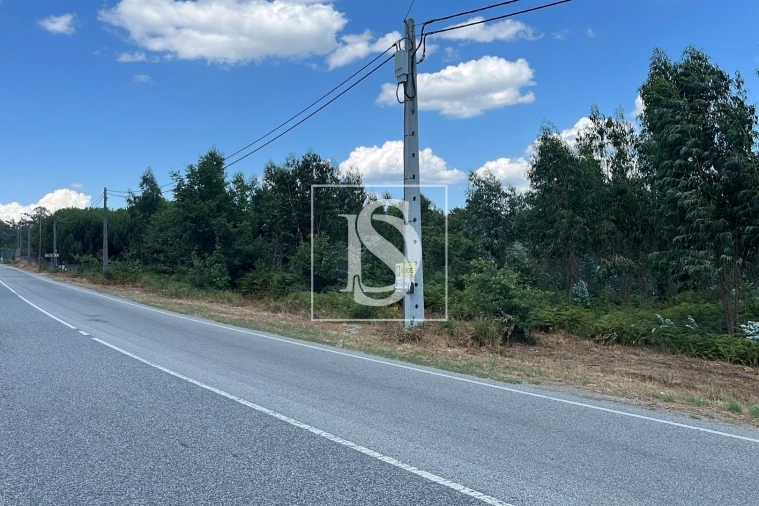 Terreno para Venda em Vilar de Besteiros e Mosteiro de Fráguas Foto 3