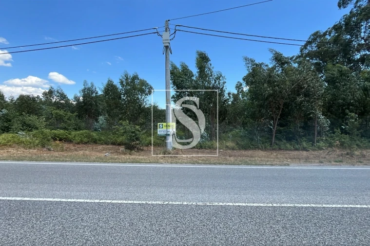 Terreno para Venda em Vilar de Besteiros e Mosteiro de Fráguas Foto 2