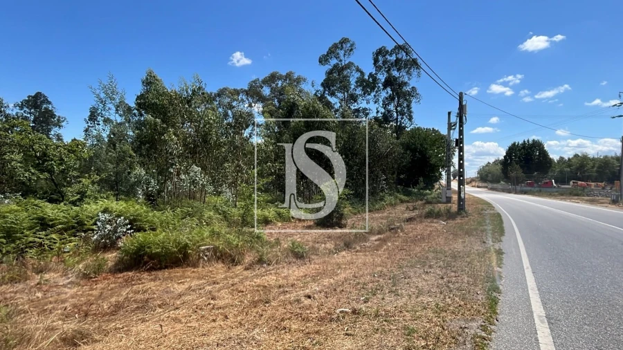 Terreno para Venda em Vilar de Besteiros e Mosteiro de Fráguas