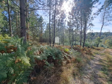 Terreno Agricola ou Rústico para Venda em Sandim, Olival, Lever e Crestuma