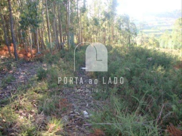 Terreno Agricola ou Rústico para Venda em Sandim, Olival, Lever e Crestuma