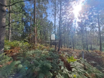 Terreno Agricola ou Rústico para Venda em Sandim, Olival, Lever e Crestuma