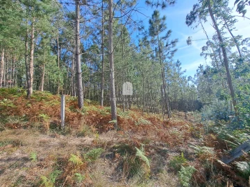 Terreno Agricola ou Rústico para Venda em Sandim, Olival, Lever e Crestuma