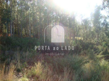 Terreno Agricola ou Rústico para Venda em Sandim, Olival, Lever e Crestuma