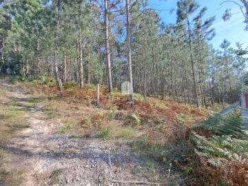 Terreno Agricola ou Rústico para Venda em Sandim, Olival, Lever e Crestuma