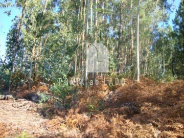 Terreno Agricola ou Rústico para Venda em Sandim, Olival, Lever e Crestuma