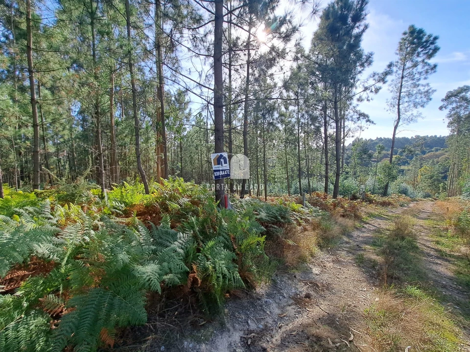 Terreno Agricola ou Rústico para Venda em Sandim, Olival, Lever e Crestuma Foto 5