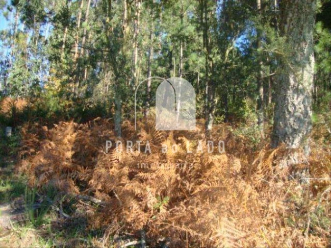 Terreno Agricola ou Rústico para Venda em Sandim, Olival, Lever e Crestuma Foto 10