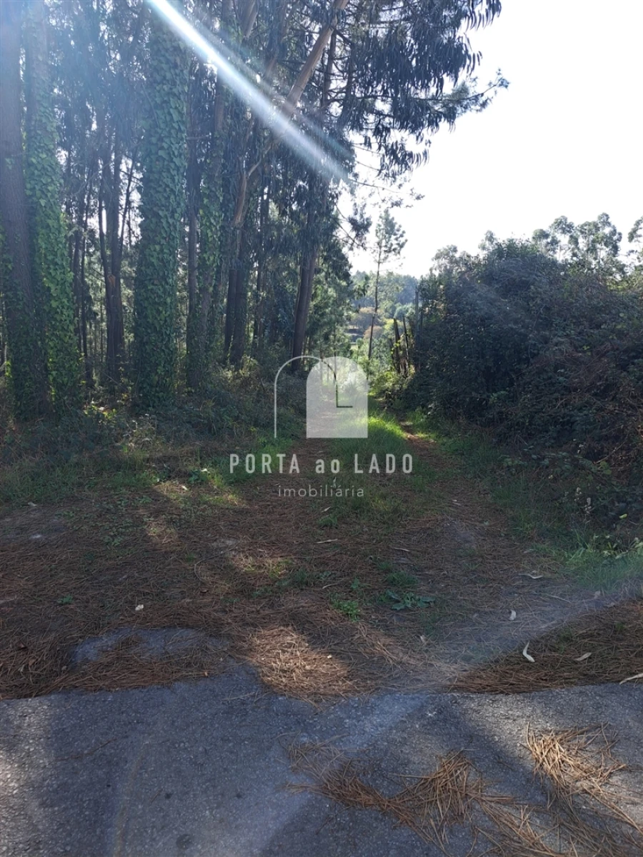 Terreno Agricola ou Rústico para Venda em Sandim, Olival, Lever e Crestuma Foto 2