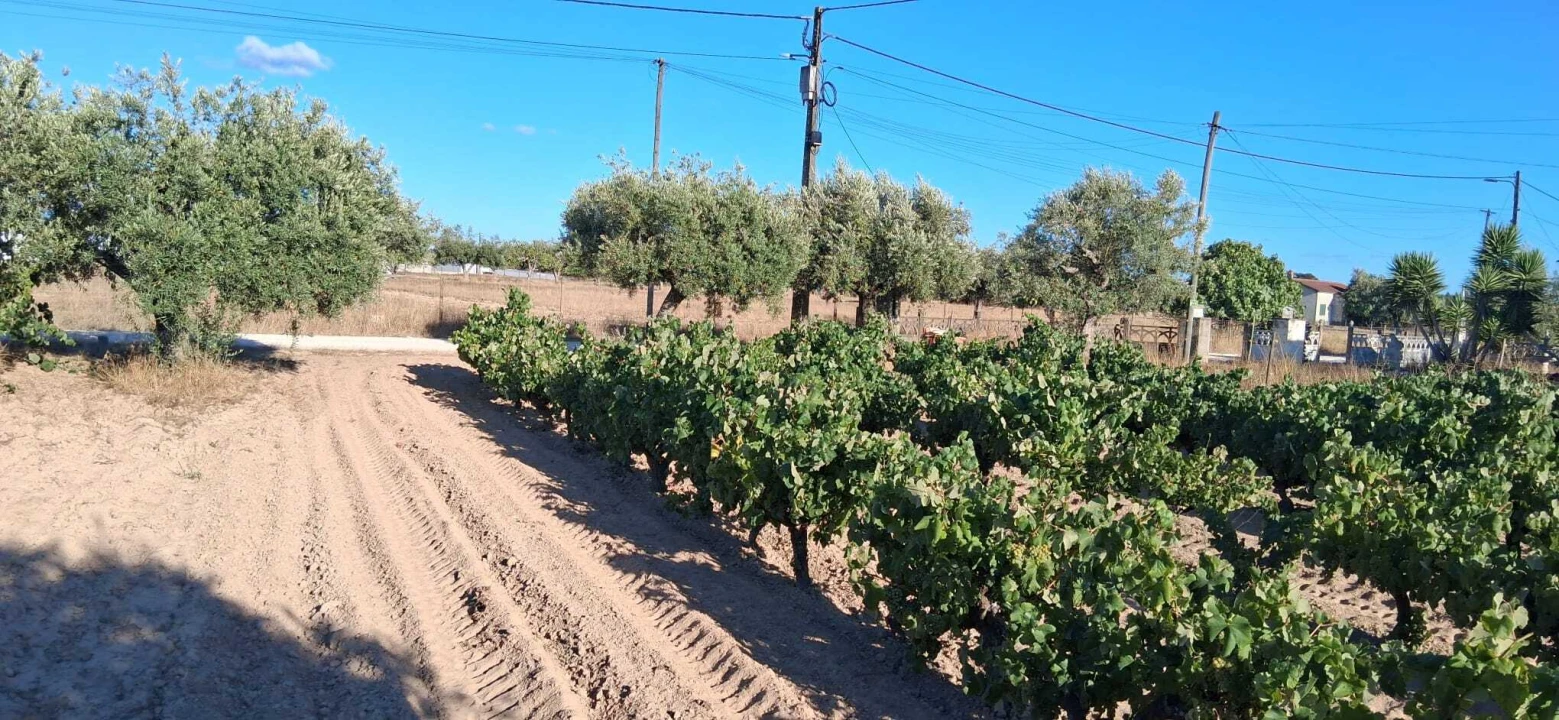 Terreno para Venda em Glória do Ribatejo e Granho Foto 6