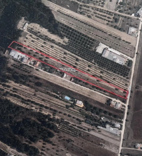 Terreno para Venda em Glória do Ribatejo e Granho