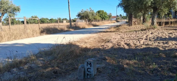 Terreno para Venda em Glória do Ribatejo e Granho