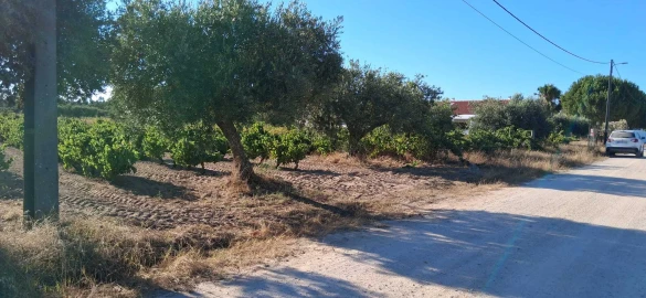 Terreno para Venda em Glória do Ribatejo e Granho