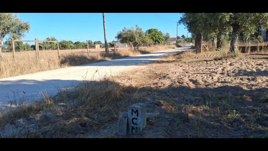 Terreno para Venda em Glória do Ribatejo e Granho