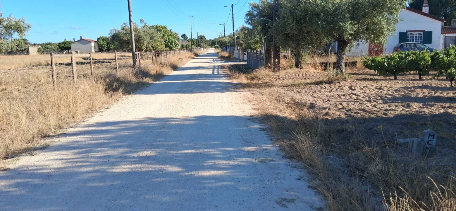 Terreno para Venda em Glória do Ribatejo e Granho Foto 3