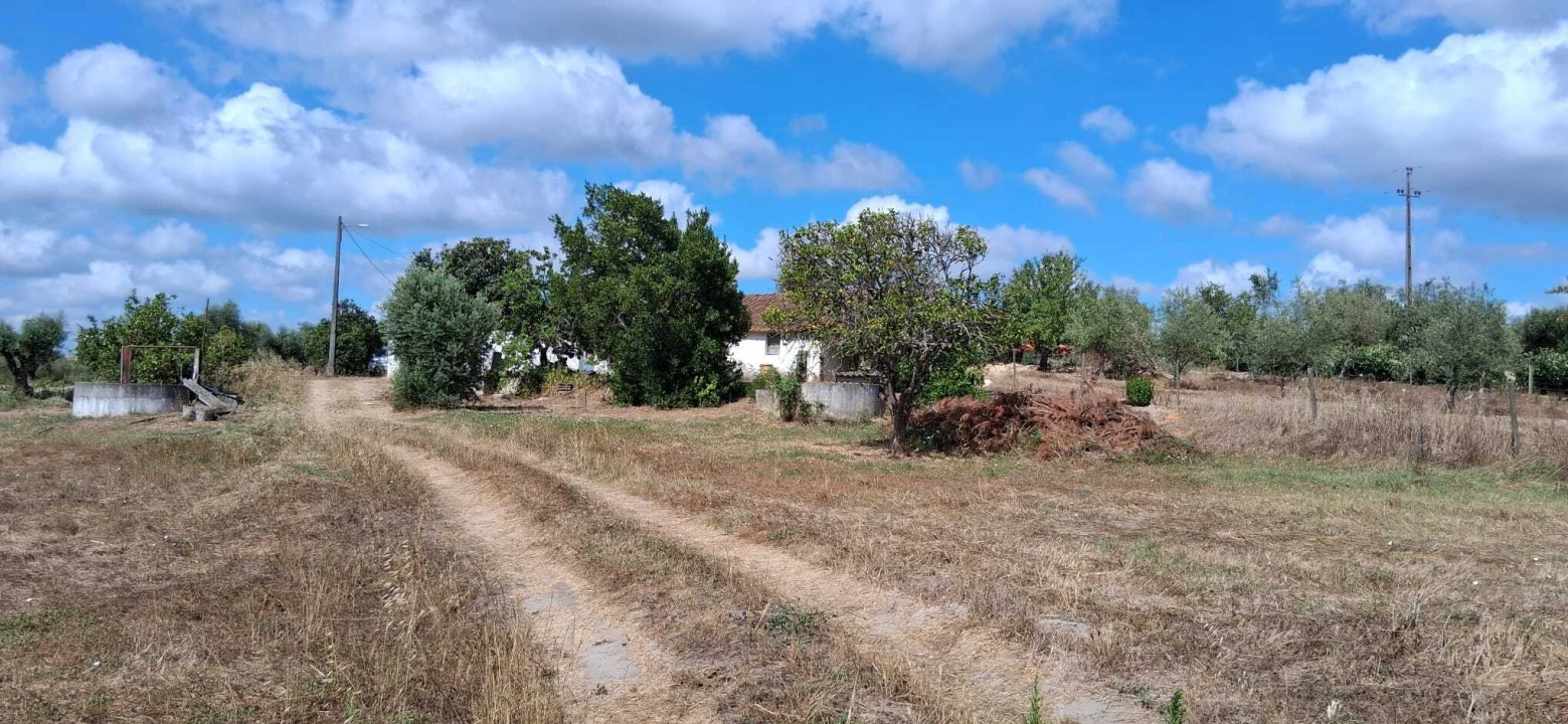 Moradia T4 para Venda em São Jose da Lamarosa Foto 8