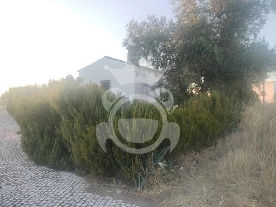 Moradia T1 para Venda em Reguengos de Monsaraz Foto 14
