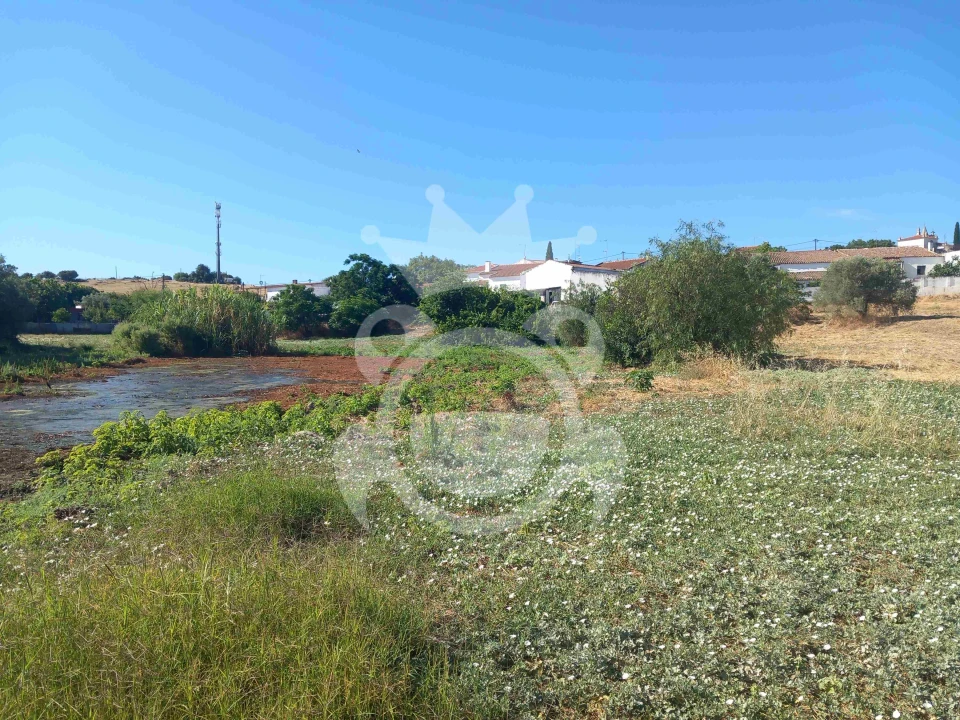 Terreno para Venda em Serpa (Salvador e Santa Maria) Foto 3