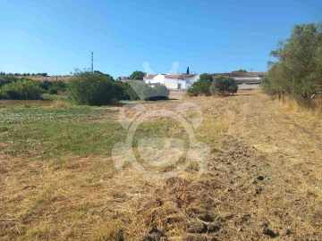 Terreno para Venda em Serpa (Salvador e Santa Maria)
