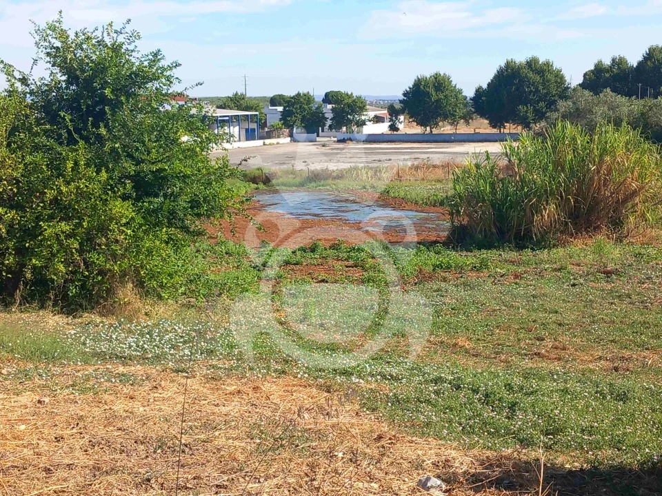 Terreno para Venda em Serpa (Salvador e Santa Maria) Foto 9
