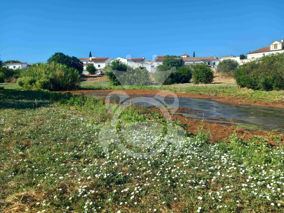 Terreno para Venda em Serpa (Salvador e Santa Maria) Foto 8