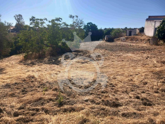 Terreno para Venda em Serpa (Salvador e Santa Maria) Foto 10