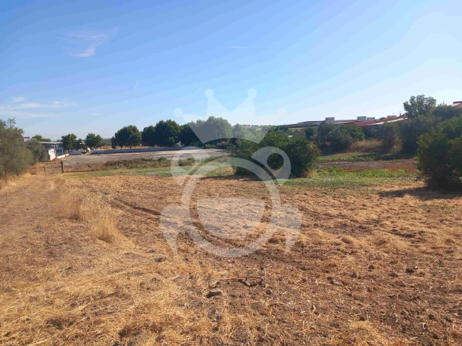 Terreno para Venda em Serpa (Salvador e Santa Maria) Foto 4