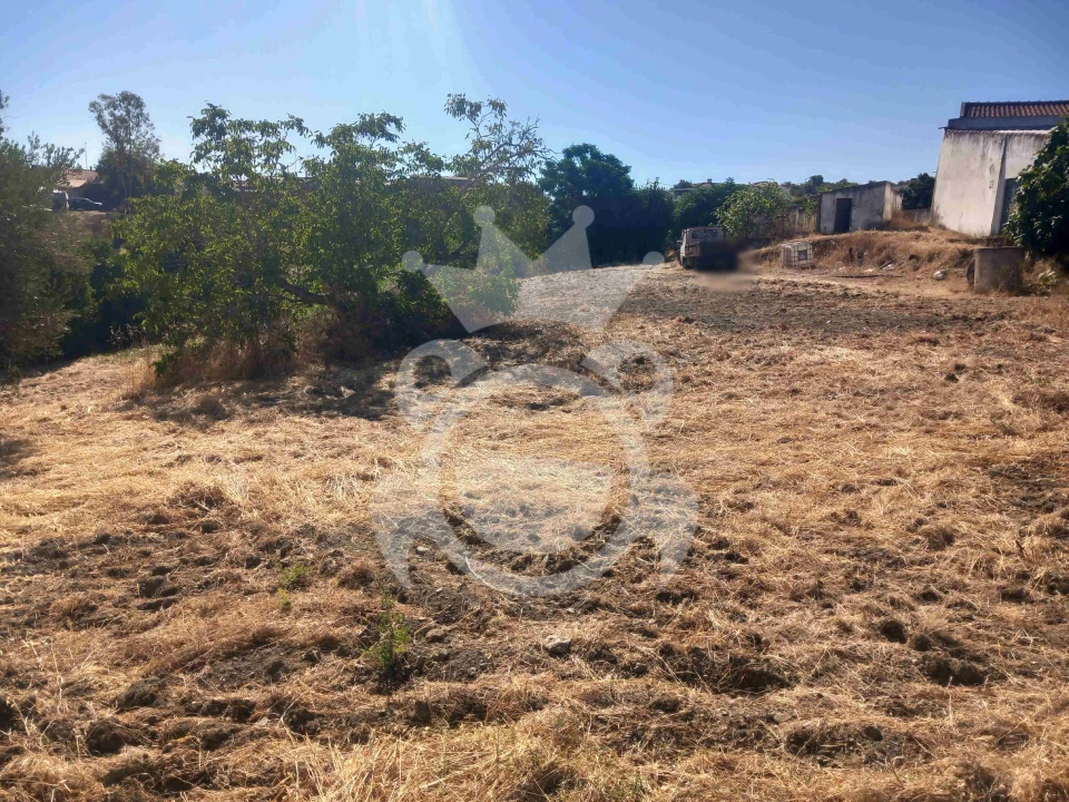 Terreno para Venda em Serpa (Salvador e Santa Maria) Foto 10
