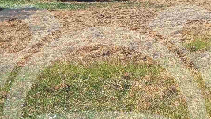 Terreno para Venda em Serpa (Salvador e Santa Maria)