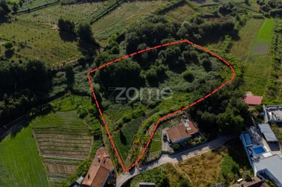 Terreno para Venda em Paredes