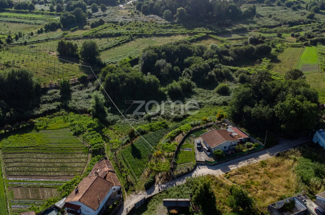 Terreno para Venda em Paredes Foto 4