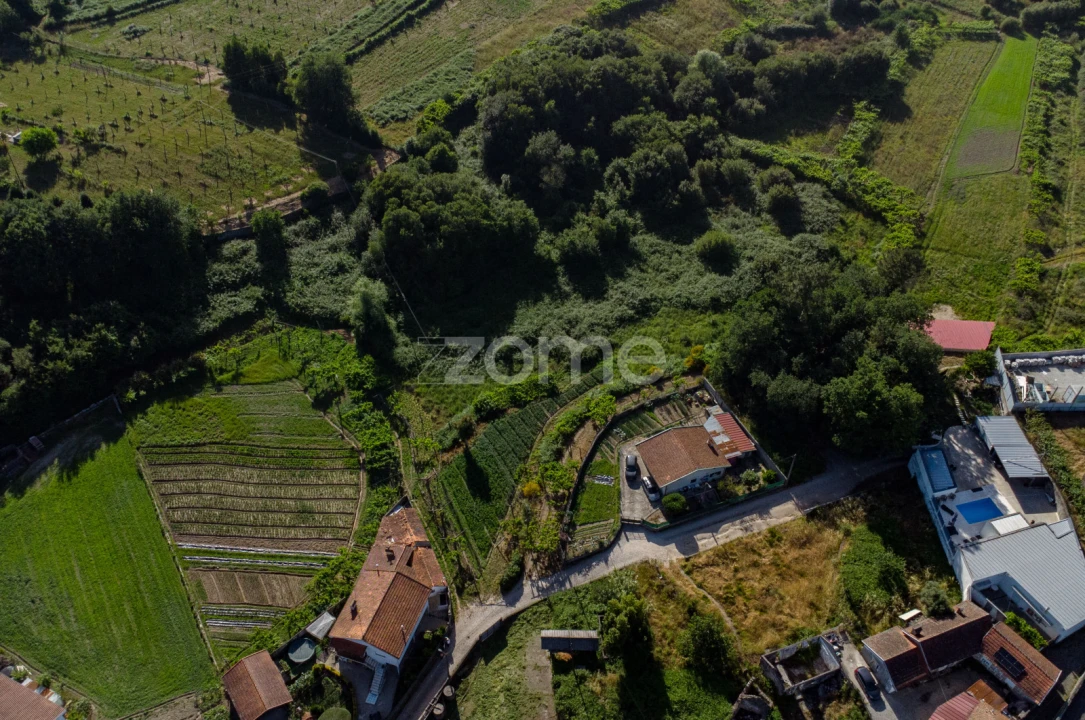 Terreno para Venda em Paredes Foto 1