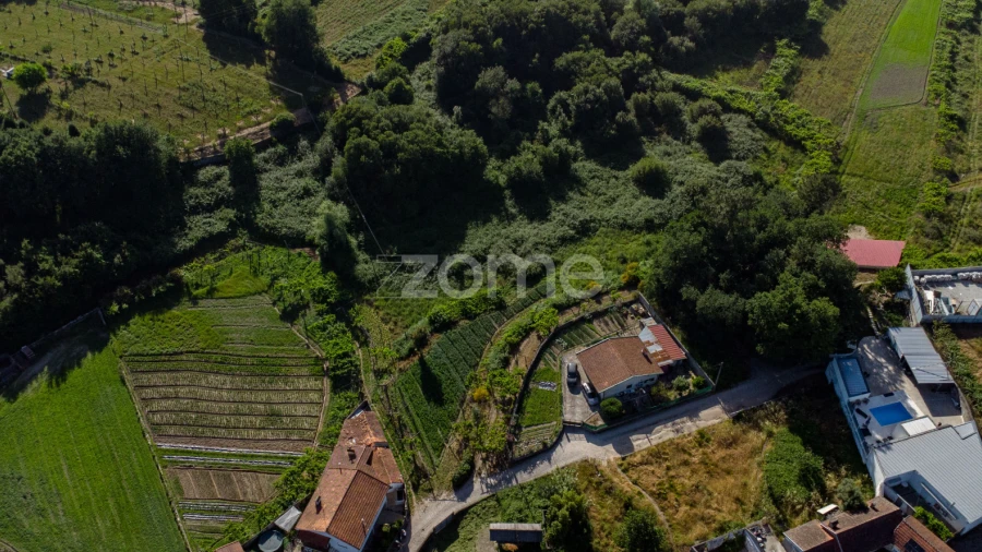 Terreno para Venda em Paredes