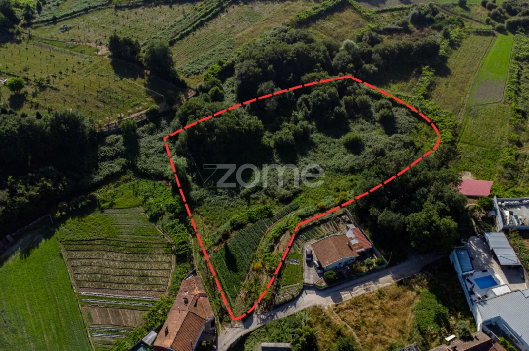 Terreno para Venda em Paredes Foto 2