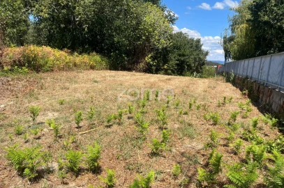Terreno para Venda em São Martinho de Árvore e Lamarosa
