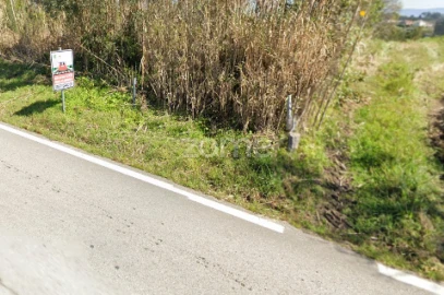Terreno para Venda em São Martinho de Árvore e Lamarosa