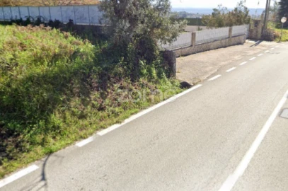 Terreno para Venda em São Martinho de Árvore e Lamarosa