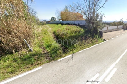 Terreno para Venda em São Martinho de Árvore e Lamarosa
