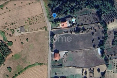 Terreno para Venda em São Martinho de Árvore e Lamarosa