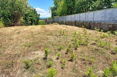 Terreno para Venda em São Martinho de Árvore e Lamarosa