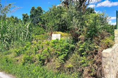 Terreno para Venda em São Martinho de Árvore e Lamarosa