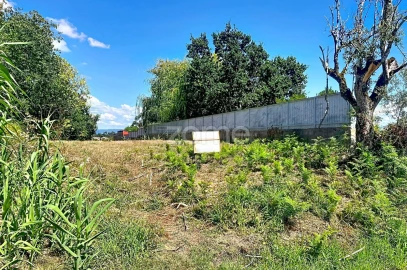 Terreno para Venda em São Martinho de Árvore e Lamarosa