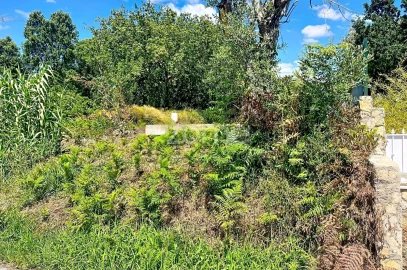 Terreno para Venda em São Martinho de Árvore e Lamarosa