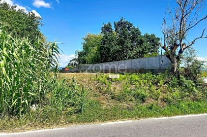 Terreno para Venda em São Martinho de Árvore e Lamarosa