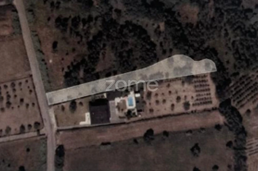 Terreno para Venda em São Martinho de Árvore e Lamarosa Foto 14