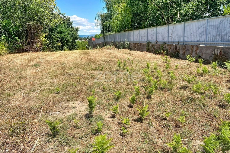 Terreno para Venda em São Martinho de Árvore e Lamarosa Foto 2