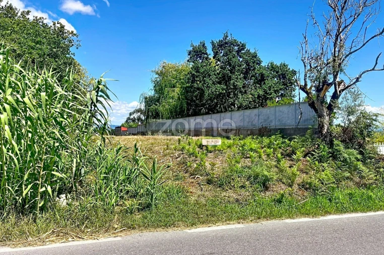Terreno para Venda em São Martinho de Árvore e Lamarosa Foto 7