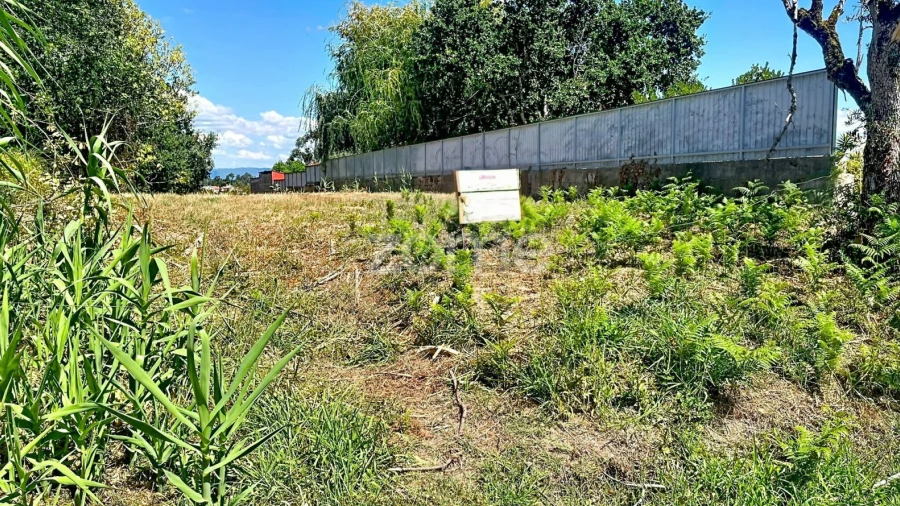 Terreno para Venda em São Martinho de Árvore e Lamarosa