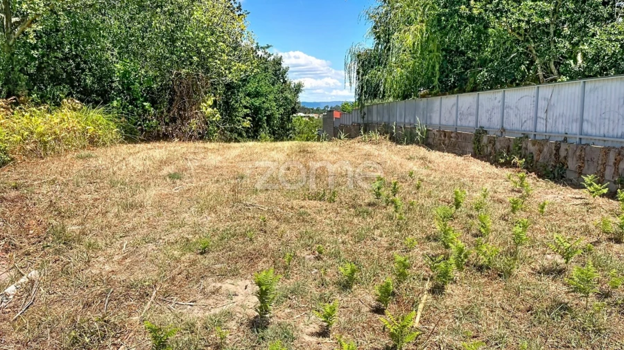 Terreno para Venda em São Martinho de Árvore e Lamarosa